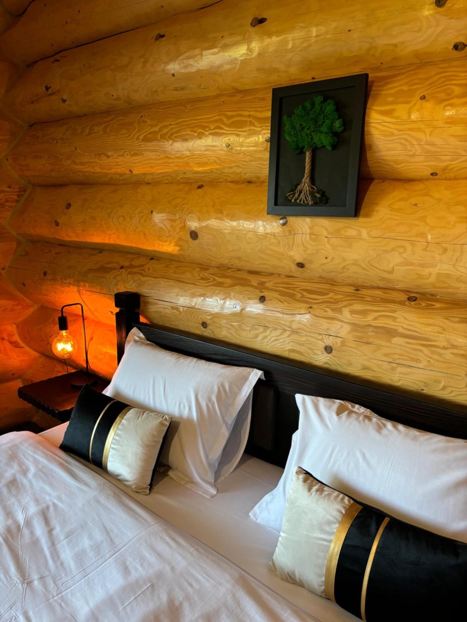 Hotel Bucovina Exclusiv Vama  Zewnętrze zdjęcie